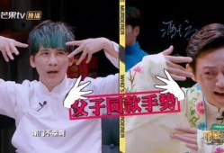 明星大侦探第9季免费完整版高清,悬疑升级，探案高手集结免费高清大放送